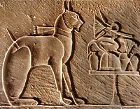 Священная кошка Египта